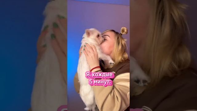 Жиза ?