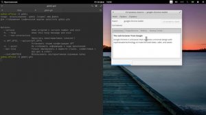 Google Chrome Linux Oбзор параметров системы, настройка ElementaryOS 2021