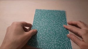 Простая новогодняя открытка шейкер своими руками. Мастер-класс. Скрапбукинг