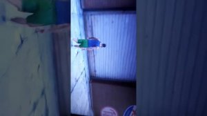 Где можно взять машины в гта 5 на XBOX 360 в одиночной игре