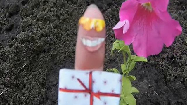 ОТЛИЧНОГО НАСТРОЕНИЯ!