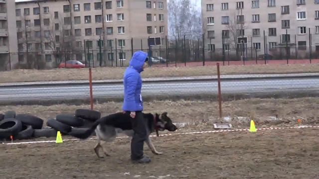 18.03.2017 "Шаг за Шагом-2107". Класс "Школа". Уч. №1-Нетеребская Анастасия. Уч. №2- Юрьева Елена смотреть онлайн