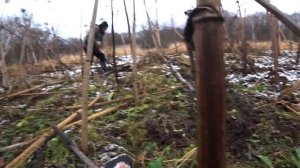 Поиск монет с Эквинокс 800 & EQUINOX 800