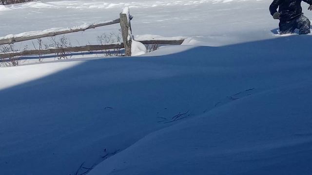 Моя косуля! 07.02.24 смотреть онлайн