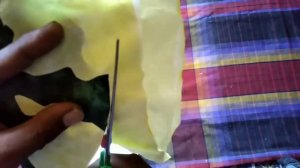 DIY''cara membuat keladi variegata dari plastik kresek( caladium)//tanaman keladi @ARISJOWOCHANNEL