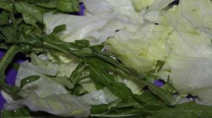 Салат с беконом, сыром и помидорами