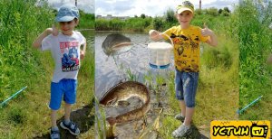 Детская рыбалка на взрослую удочку. Устин и Миша поймали маленького сома. Выпускаем сома в озеро.