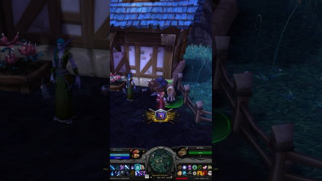 А ВЫ ЗНАЛИ О СЕКРЕТНОЙ СОБАКЕ, КОТОРАЯ ПУТЕШЕСТВУЕТ ПО ВСЕМУ АЗЕРОТУ? В WORLD OF WARCRAFT #wow