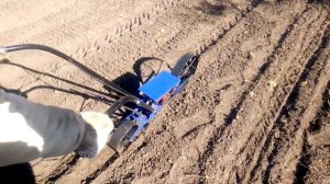 Чеснок. Сеялка Винница