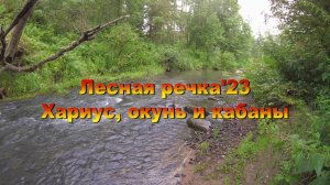 Лесная речка'23. Хариус, окунь и кабаны