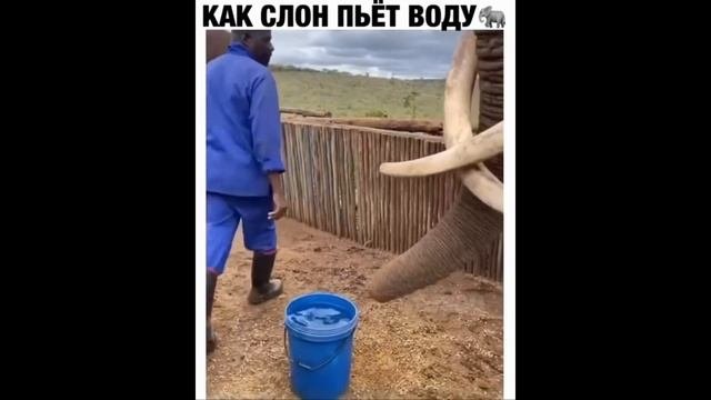 ПРИКОЛЫ 2022