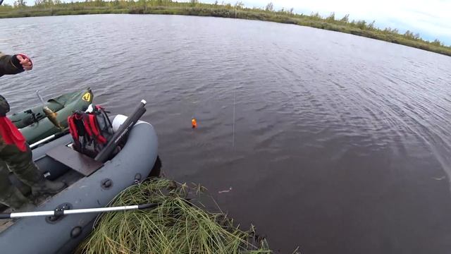 ЗДЕСЬ ОКУНЯ МОЖНО МЕШКАМИ ЛОВИТЬ.ГОРБАЧИ ЖРУТ ВСЕ ЧТО ПОПАДАЕТ В ВОДУ. смотреть онлайн
