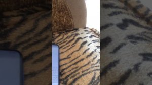 Обзор на КСЯОМИ РЕДМИ НОУТ 8