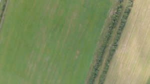 Населенные пункты с высоты: деревня Яльгелево, Ломоносовский район, Ленинградская область l Мавик