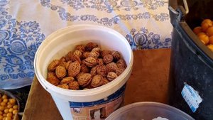 Заготовка косточек алычи.