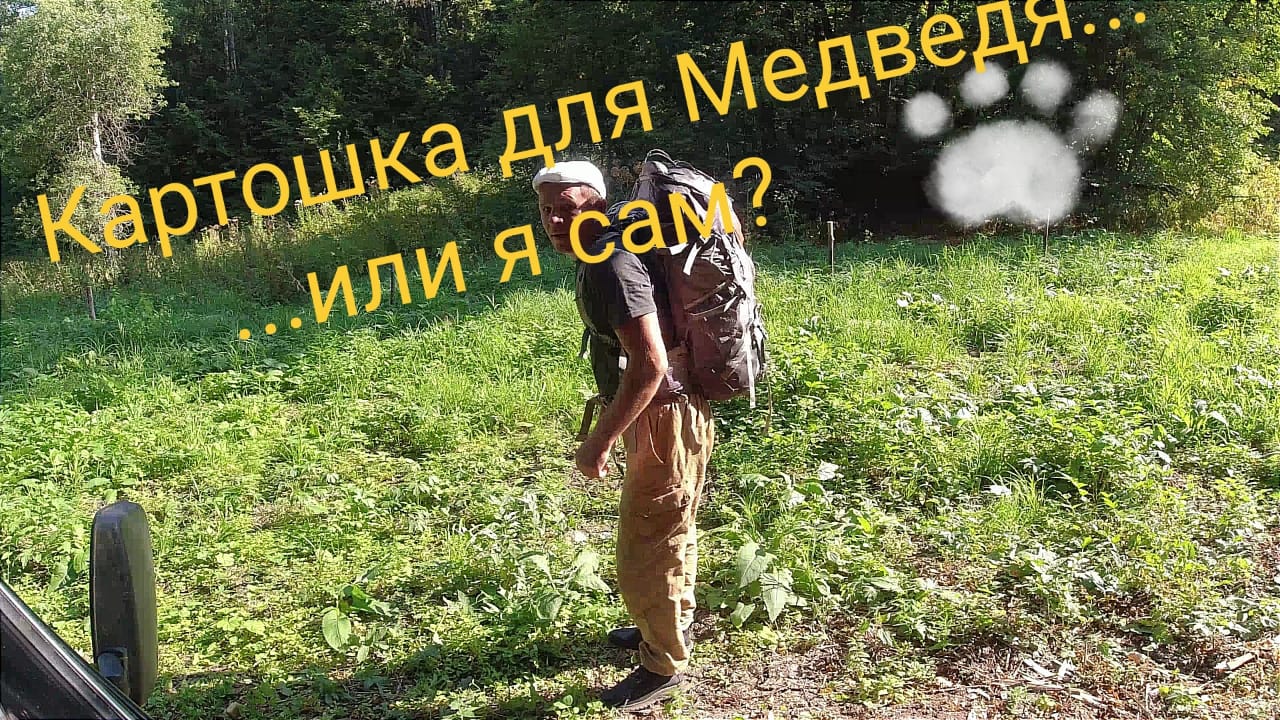 Не благодарные, я им принес в лес еду, а они меня... смотреть онлайн