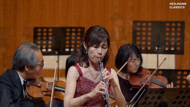 T.G.Albinoni Oboe Concerto in d minor Op.9 No.2, Oboe: Sei Katakura, Conductor: Uwe Heilmann смотреть онлайн