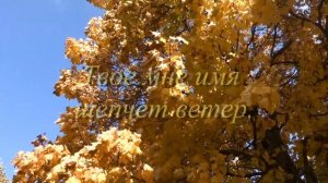 Я так люблю тебя, родная!