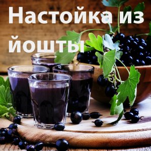 Настойка из йошты