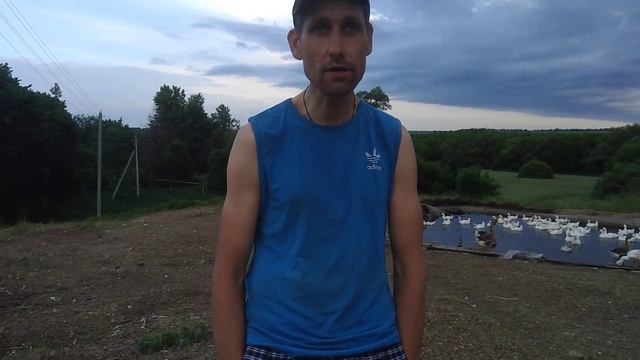 Весенний лохотрон с Холмогорским яйцом и гусятами! смотреть онлайн