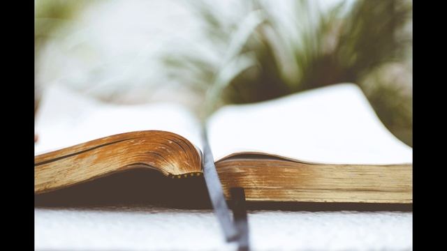 ЧТО ДЕЛАТЬ В ЦЕРКВИ? 2 ЧАСТЬ | 30.01.2022 смотреть онлайн