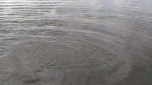 Баш-Хем часть 1