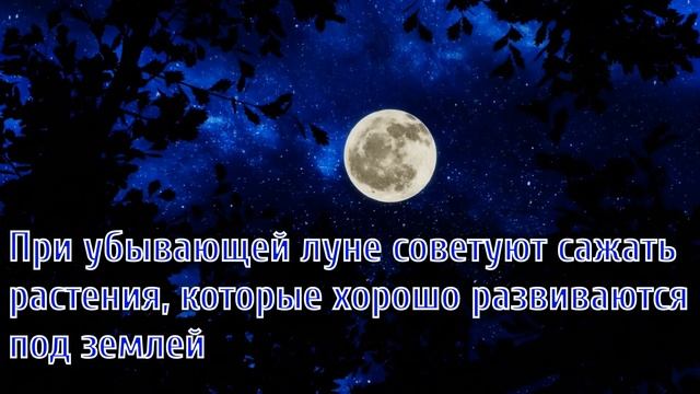 Как Луна влияет на рост растений?