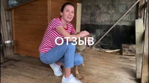 Отзыв от Елены об обучении у Натальи Севостьяновой