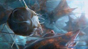 Гербалайф питание клетки