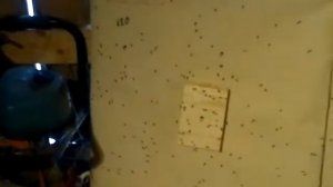 20 калибр, Ирбис-Охота-35М на 35 шагов( партия 2/15к)