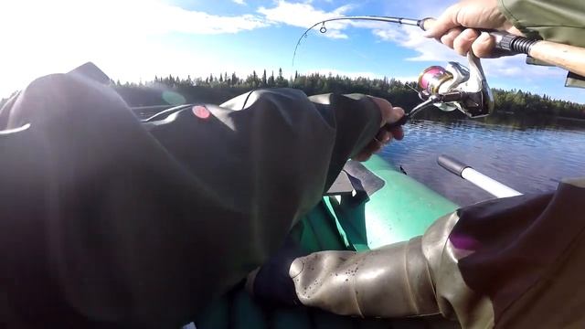 Кумжа Кольского полуострова. Июнь. смотреть онлайн