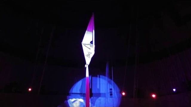полотна. Плотникова Елена