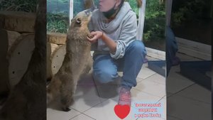 Там, где живет любовь