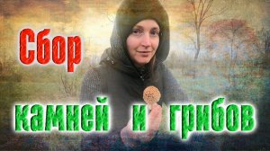 Ищу поделочные камни и минералы. Нашла подземный портал, змею, грибы сморчки и фазана.