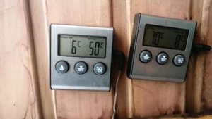 СВИННЫЕ ХВОСТЫ ГОРЯЧЕГО КОПЧЕНИЯ! ДЕЛИКАТЕС К ПИВУ!)