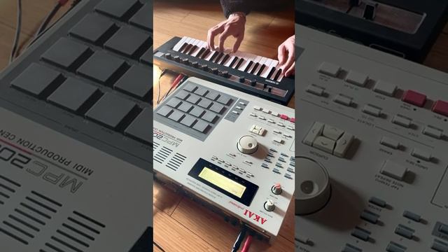 Пятница жеж!InstaTag #ЗакольцовкиAKAI #MPC2000 #Минимализм #Синти #FullVersionVideoInOK&VK смотреть онлайн