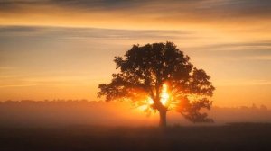 И. Бунин "Вечер"