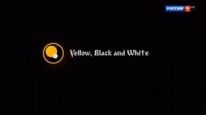 Выпуск №8. История заставок Телекомпании "Yellow, Black and White"