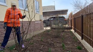 Не поедем жить в квартиру,  нам и тут хорошо!