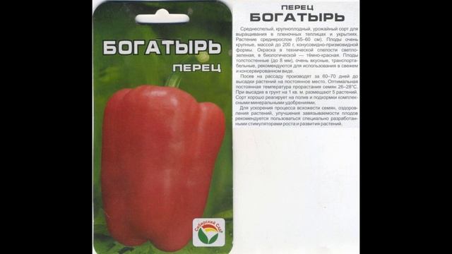 Обзор сорта перца "Богатырь" (характеристики, свойства, фото) смотреть онлайн