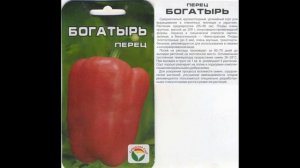 Обзор сорта перца "Богатырь" (характеристики, свойства, фото)