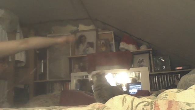 Monitor-2016-01-20-00-54-21-422 смотреть онлайн