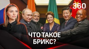Что такое БРИКС: расшифровка, цели, принципы | Екатерина Малашенко