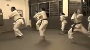 Karate Shotokan - Sensei Luciano Dos Santos 67 9204-3540