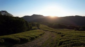 Земля круглая или... Тоже думаете, что она плоская? Или все же нет?