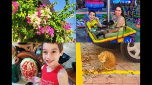 VICTORY BE MINE 5*. УБОРЩИЦЫ ДАЛИ НАМ ДЕНЕГ. ИДЕМ НА МОРЕ, КОШКИ В ОТЕЛЕ, УЛЕТАЕМ. ТУРЦИЯ 2020