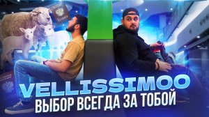 VELLISSIMOO эксклюзивный выпуск