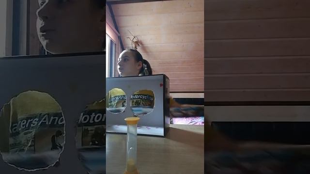 Угадай что в коробке