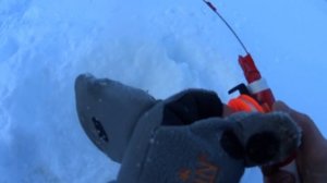 ХОТЕЛИ ПОЛОВИТЬ ЯЗЯ,НО ПОЛУЧИЛОСЬ ПО ДРУГОМУ.ЗИМНЯЯ РЫБАЛКА НА МОРМЫШКУ В ЯНВАРЕ 2020.