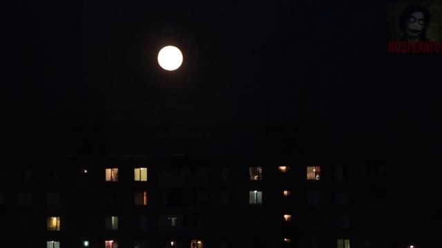 Истории на ночь - Окно десятого этажа смотреть онлайн